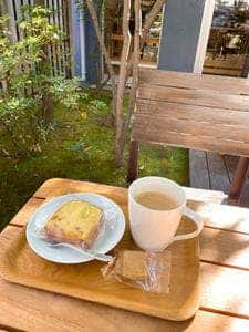かすたねっと
