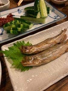 鳥勢