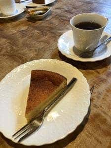 緑の館
