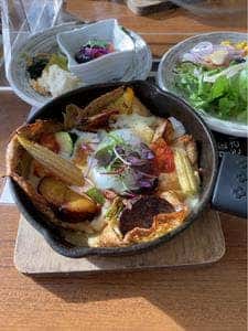 Farm to Table TERRA