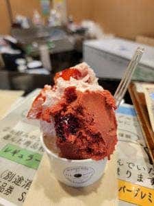 プレミアムジェラート・ハレ Terrace軽井沢店