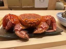鮨 さえ㐂