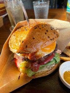 ハサムンクロドニー