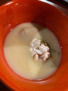 御懐石 志ら玉