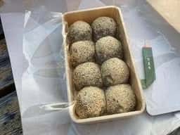 清晨庵