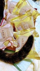 ハタダ 岡南福田店