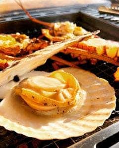 とれとれ市場鮮魚コーナー