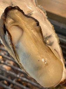 浜焼き能登風土 千里浜店