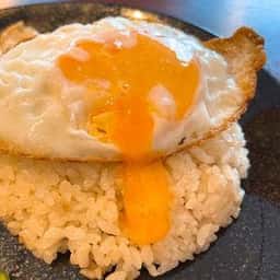 NOAH'S KITCHEN
