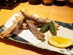 風虎