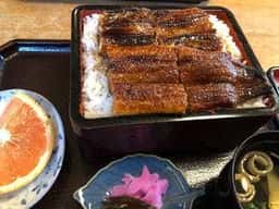 加茂う