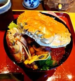 敦賀魚河岸 海鮮丼 うお吟