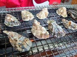 牡蠣小屋 大黒丸