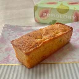 POMOLOGY