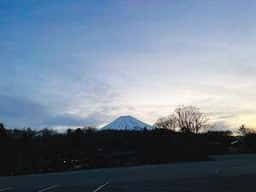 富島屋