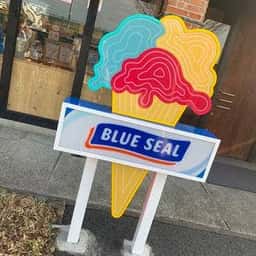 ブルーシール 岐阜ナガラガワフレーバー店
