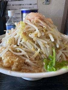 豚星。