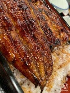 うなぎ 八百徳 本店