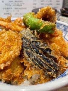 喜代松