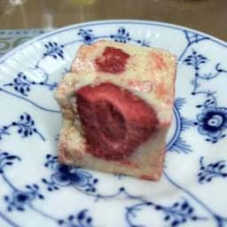 オードリー 日本橋高島屋店