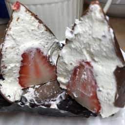 オードリー 日本橋高島屋店