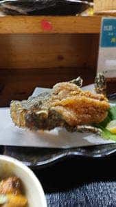 丼彩酒楽 由庵