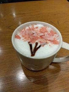 スターバックス コーヒー ミスターマックス湘南藤沢ショッピングセンター店