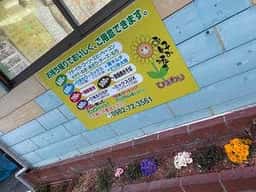 ひまわり