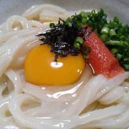 うどん 蓮