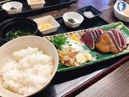 土佐たたき道場