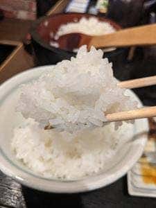 おひつ膳 田んぼ 表参道店