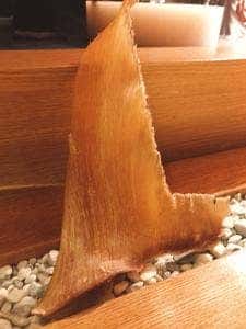 隼