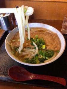 さぬきうどんのたぬき