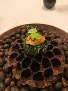 Installation Table ENSO L'asymetrie du calme