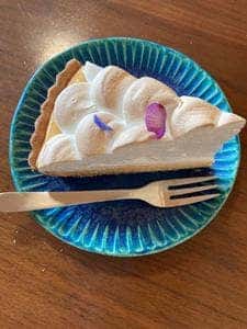 かいじゅうとたね