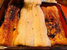 活うなぎ 橋本