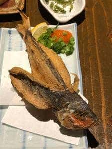 倉ん家