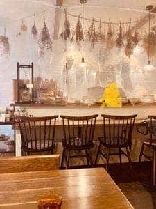 cafe ふたこぶらくだ