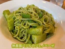 イタリアカフェ食堂 cocoon