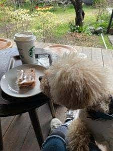 スターバックス コーヒー 鎌倉御成町店