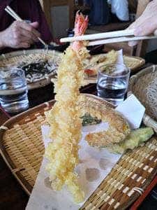 更科