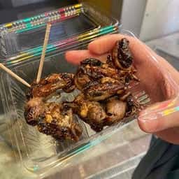 味彩 のと与