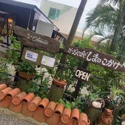 ガーデンカフェ しまのこかげ