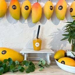 MANGO STAR 戸越銀座本店