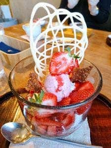 坂の下の店 ぶどうのたね