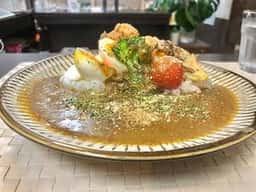 TOYOnoTORI Spice Curry