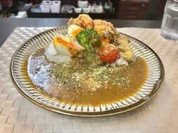 TOYOnoTORI Spice Curry
