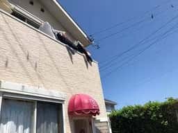 ちっぷ