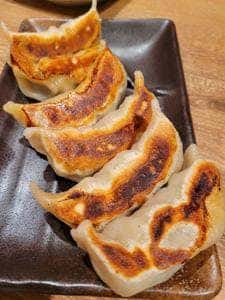 肉汁餃子のダンダダン 広島えびす通り店