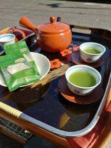 マルタケ製茶 大茶園